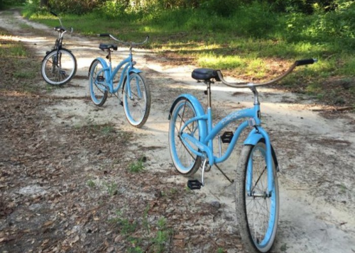 Three blue bicycles parked on a sandy path surrounded by greenery.