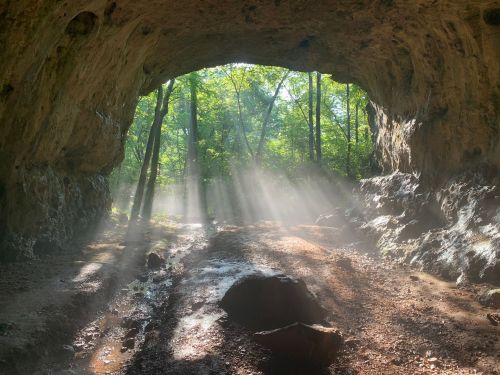 Sunlight streams through a cave opening, illuminating a misty forest with trees and a rocky path below.