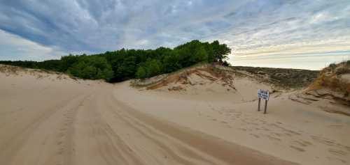 A sandy path leads through dunes, bordered by green trees under a cloudy sky. A sign stands nearby.