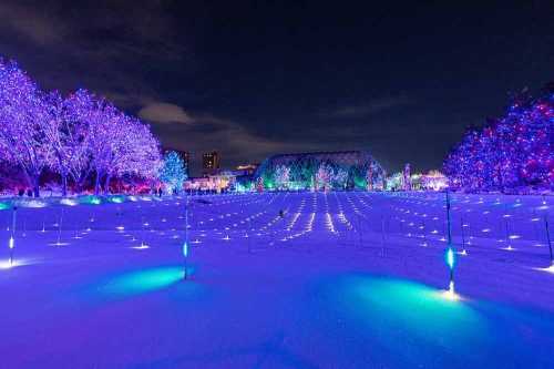 A winter landscape illuminated with colorful lights, featuring trees and a snowy field under a night sky.