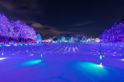 A winter landscape illuminated with colorful lights, featuring trees and a snowy field under a night sky.