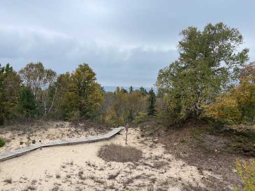 A sandy path winds through a forested area with trees in autumn colors under a cloudy sky.