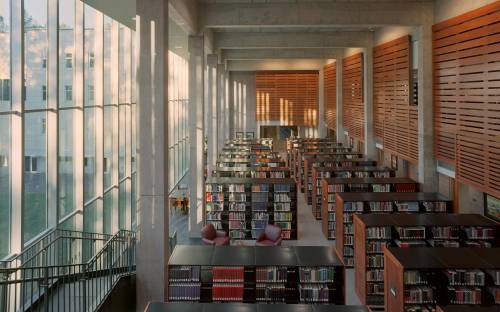 A spacious library with tall windows, wooden accents, and rows of bookshelves, bathed in natural light.