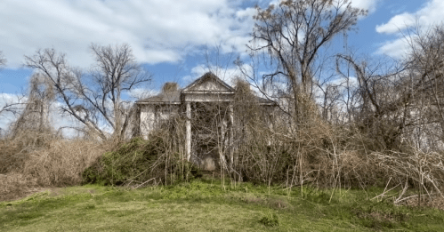 An abandoned house partially hidden by overgrown vegetation and trees under a cloudy sky.