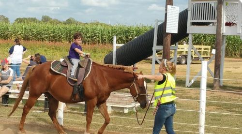 A child rides a brown horse while an adult in a reflective vest leads the horse through a farm setting.
