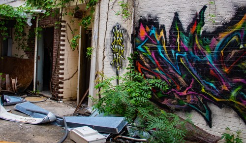 Graffiti on a brick wall amidst overgrown plants and debris in an abandoned building.