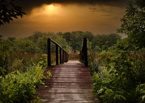 A wooden bridge leads through lush greenery towards a dark, moody sky with a hint of sunlight breaking through.