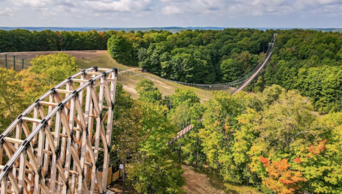 Aerial view of a wooden roller coaster surrounded by lush green trees and a winding path in a scenic landscape.