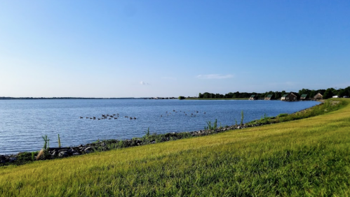 A serene lakeside view with green grass, calm water, and a clear blue sky, dotted with distant trees and structures.