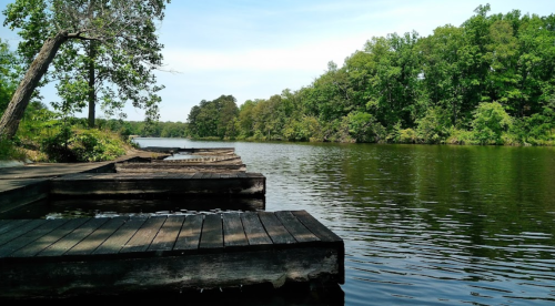 A serene river scene with wooden docks, surrounded by lush green trees under a clear blue sky.