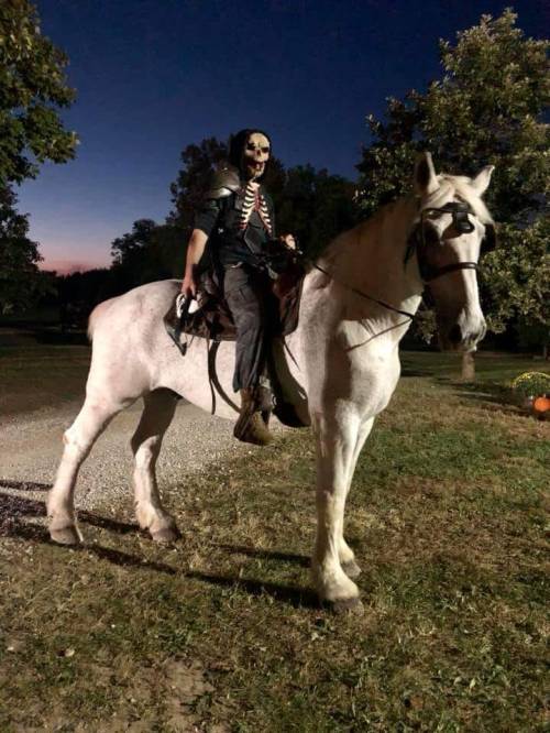 A person in a skeleton costume rides a white horse at dusk, surrounded by trees and a pumpkin in the background.