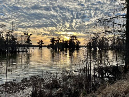 A serene lake at sunset, with silhouetted trees and a colorful sky reflected on the water's surface.