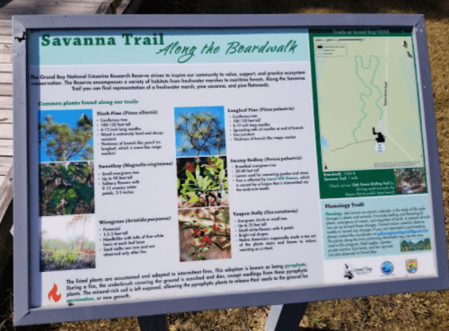 Informational sign about the Savanna Trail, featuring local plants and a map of the boardwalk area.
