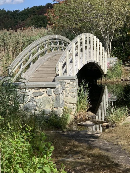 A wooden arch bridge over a calm pond, surrounded by lush greenery and trees.