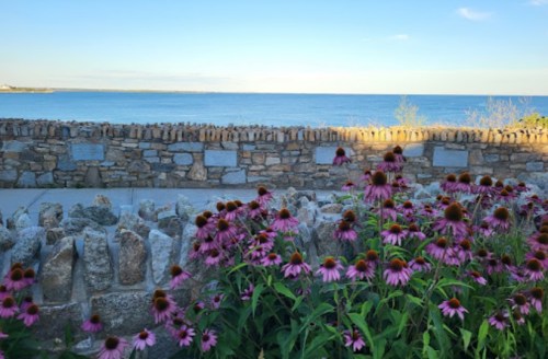 A scenic view of a stone wall with pink flowers in the foreground and a calm ocean in the background under a clear sky.