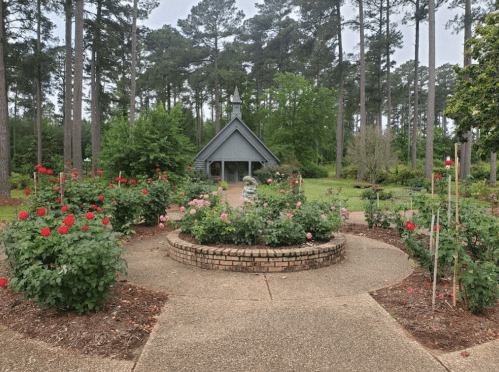 A serene garden with blooming roses, pathways, and a small chapel surrounded by tall trees.