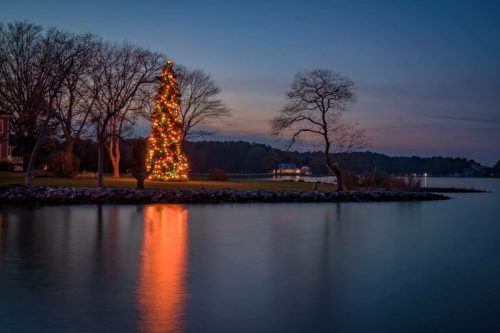 A decorated Christmas tree stands by a calm lake at dusk, with trees silhouetted against a colorful sky.