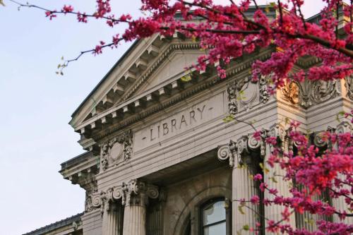 A historic library building with ornate architecture, framed by blooming pink flowers in the foreground.