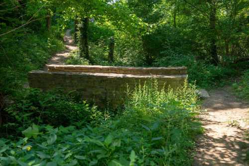 A stone bridge overgrown with greenery, surrounded by a wooded path and lush vegetation.