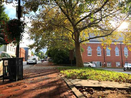 A tree-lined street with brick pavement, sunlight filtering through leaves, and a church in the background.