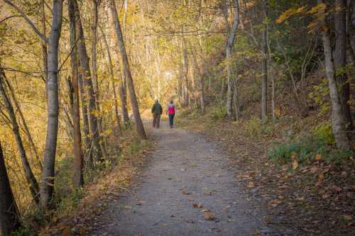 Two people walking on a tree-lined path surrounded by autumn foliage.