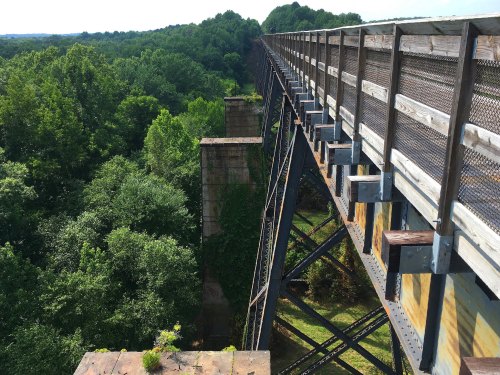 A long, elevated bridge spans a lush green landscape, with trees and overgrown vegetation below.