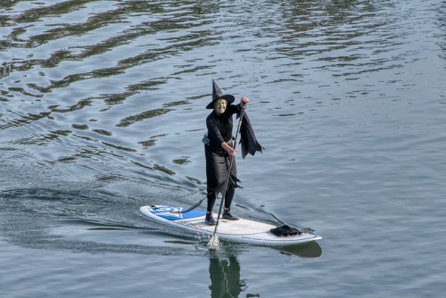 A person in a witch costume paddles on a stand-up paddleboard across a calm water surface.