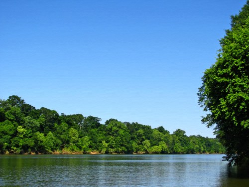 A serene river scene with lush green trees lining the banks under a clear blue sky.