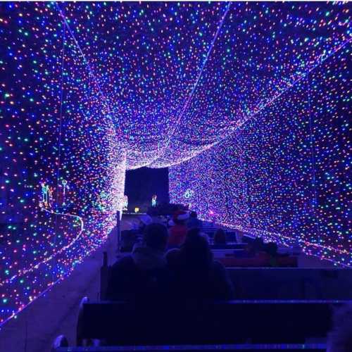 A colorful tunnel of twinkling lights with people sitting on a bench, creating a festive atmosphere.