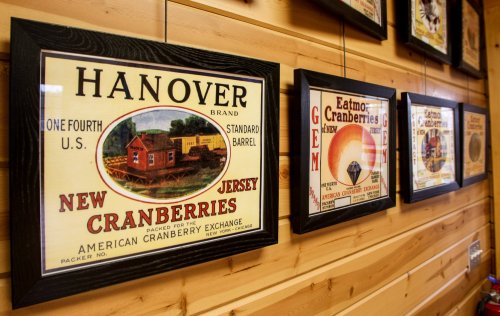 Framed vintage cranberry labels displayed on a wooden wall, featuring various brands and designs from New Jersey.