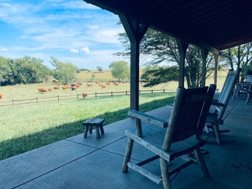 A porch with wooden chairs overlooks a pasture with grazing cattle under a blue sky and scattered clouds.
