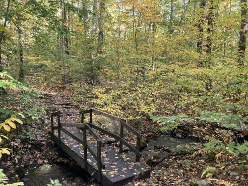 A small wooden bridge over a stream, surrounded by vibrant autumn foliage in a peaceful forest setting.