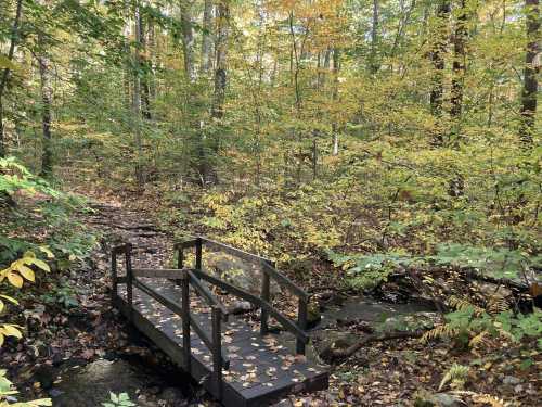 A small wooden bridge over a stream, surrounded by vibrant autumn foliage in a peaceful forest setting.