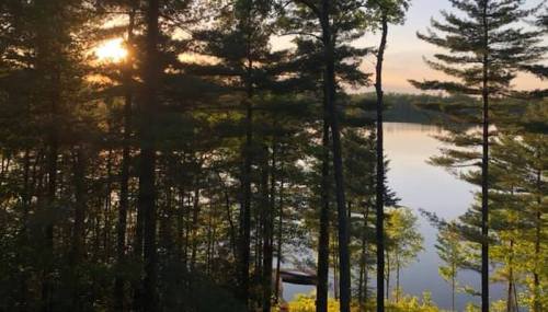 Sunset over a calm lake, framed by tall trees and a serene forest landscape.