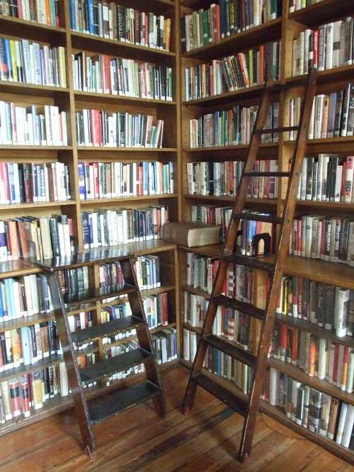 A cozy library with tall bookshelves filled with books and two wooden ladders for reaching higher shelves.