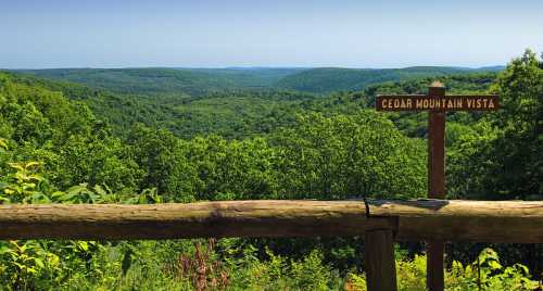 Scenic view from Cedar Mountain Vista, showcasing lush green hills and a clear blue sky.