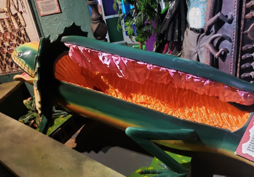 A large, colorful dragon-shaped coffin with a pink interior, displayed in a whimsical setting.