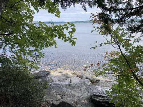 A serene view of calm water framed by trees and rocky shoreline under a cloudy sky.