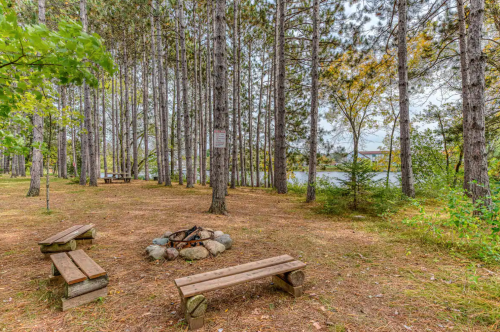 A serene forest scene with benches around a fire pit, surrounded by tall trees and a calm lake in the background.