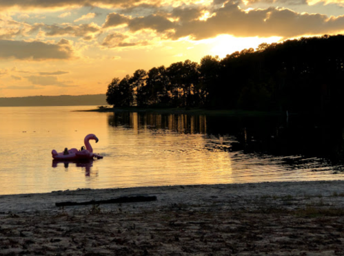 A pink flamingo float drifts on calm water at sunset, with trees silhouetted against the colorful sky.