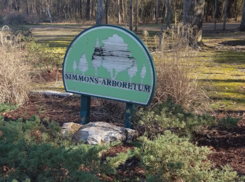 Sign for Simmons Arboretum surrounded by greenery and trees, with a rustic, natural setting in the background.