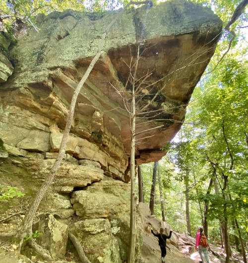 A large rock overhang towers above hikers on a wooded trail, surrounded by lush green trees.