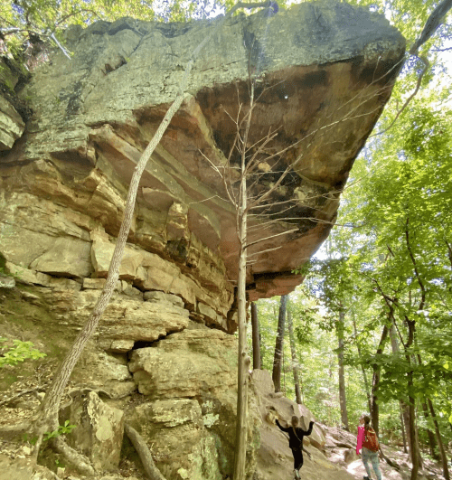 A large rock overhang towers above hikers on a wooded trail, surrounded by lush green trees.