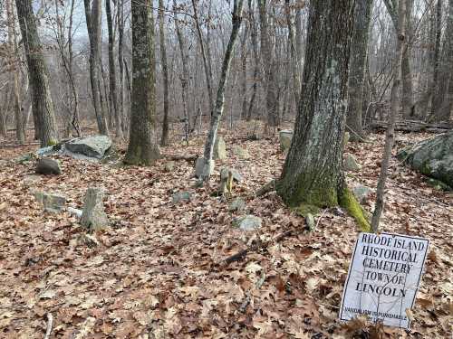 A wooded area with fallen leaves and a sign reading "Rhode Island Historical Cemetery, Town of Lincoln."