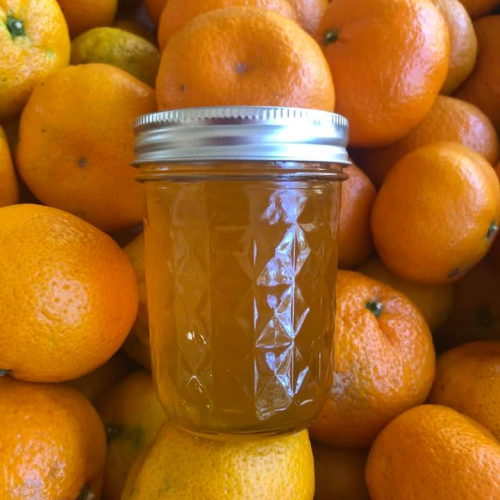 A jar of orange jam sits among a pile of fresh oranges, showcasing a vibrant, golden hue.