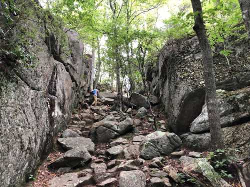 A hiker navigates a rocky path surrounded by tall trees and steep rock formations.