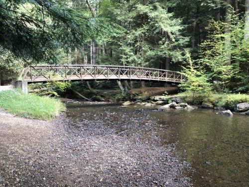 A wooden bridge arches over a calm stream, surrounded by lush green trees and rocky banks.