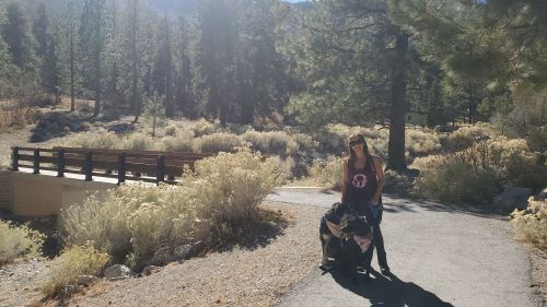 A woman stands with a black dog on a path surrounded by trees and shrubs, with a bridge in the background.