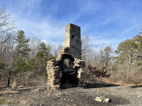A crumbling stone chimney stands amidst a barren landscape of trees and blue sky, remnants of a past structure.