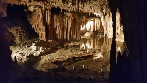 A dimly lit cave with stalactites and stalagmites, reflecting in a calm underground pool of water.